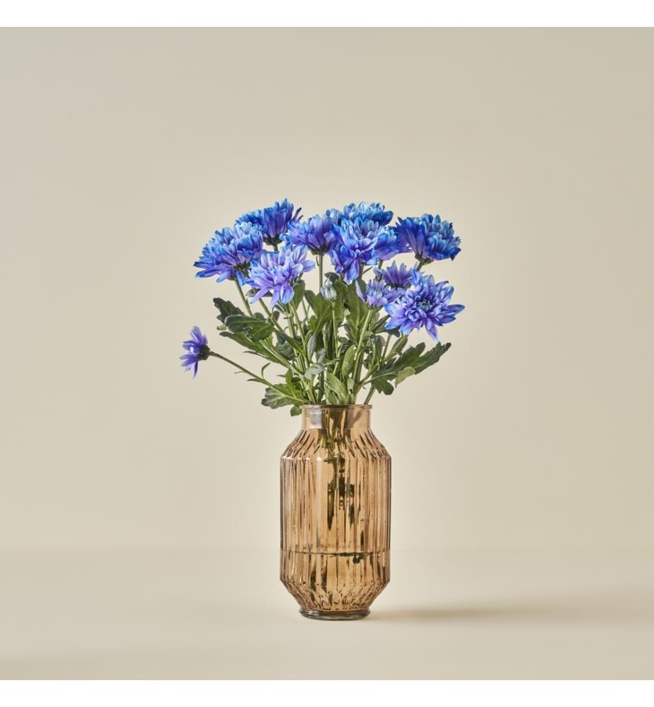 Vase Nilda 12x23 cm - Brun