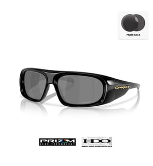 Belleville Sonnenbrille - Schwarz und Prizm Schwarz