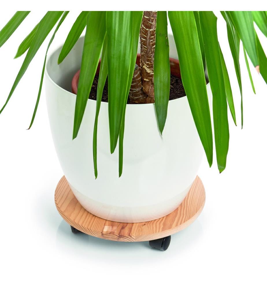 Plant roller, round, pine