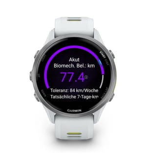 Montre connectée Forerunner 970 GPS, 47 mm - Gris et Blanc