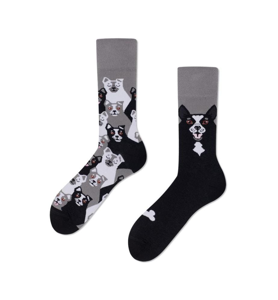 Socken Black Dog