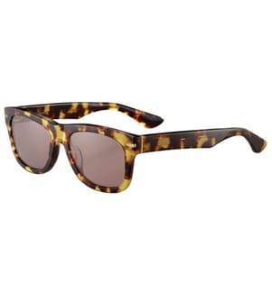 Sonnenbrille SS549006 - Schildkrötenschuppen und Braun