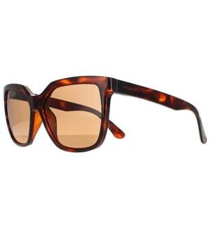 Sonnenbrille SS536004 - Braun