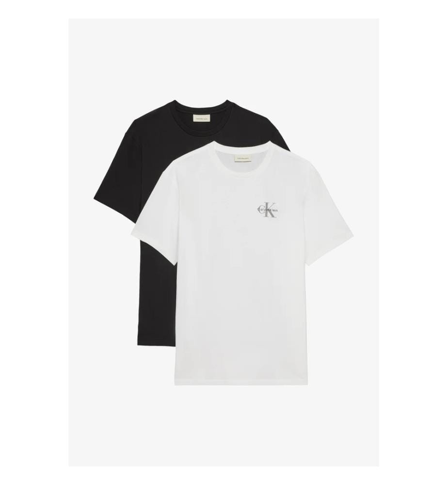 Lot de 2 T-Shirt SS 30S Classic - Noir et Blanc