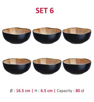 Set aus 6 Schalen Iris Ø 16,5 cm - Wildbraun