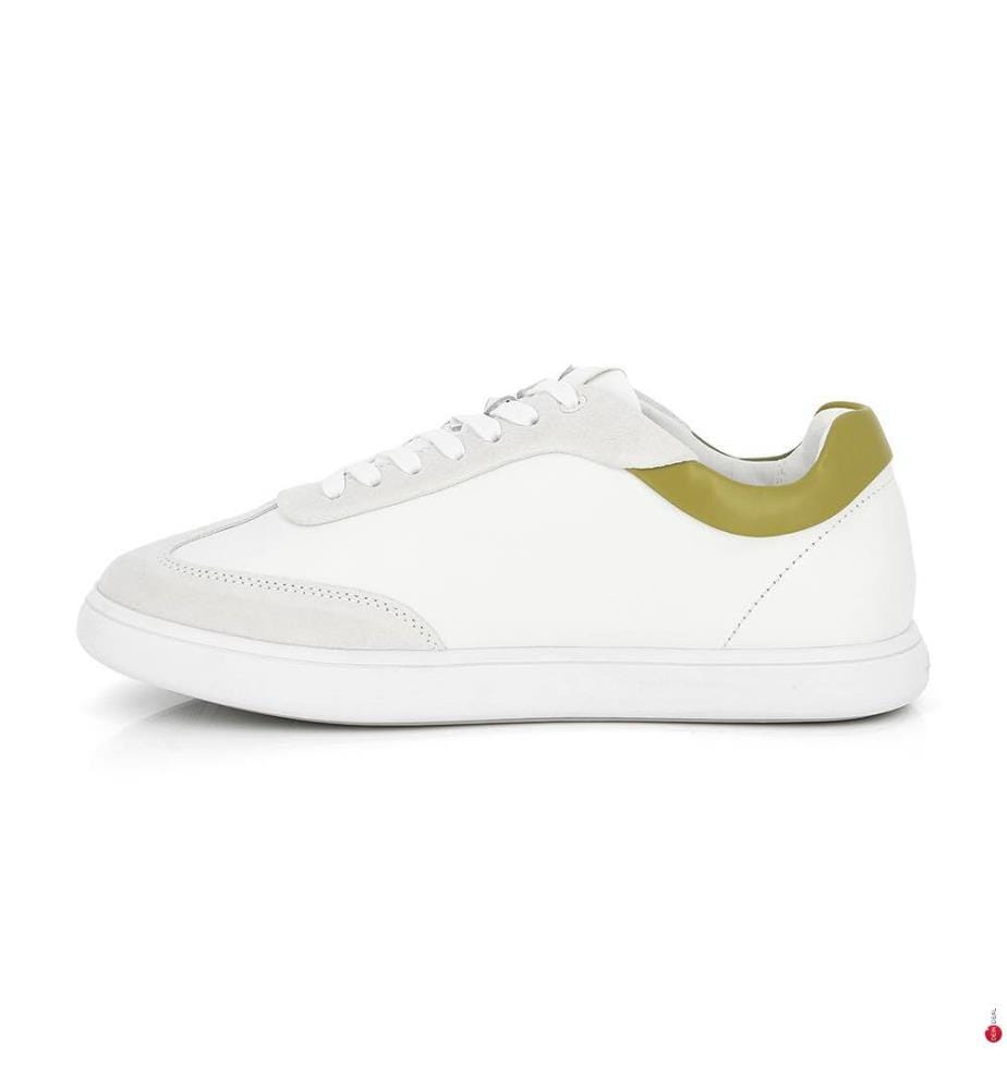 Baskets Basses en Cuir - Blanc et Avocat