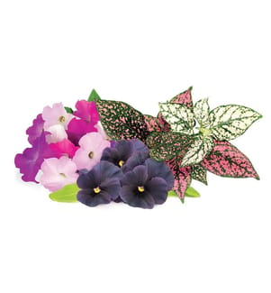 9er-Set Nachfüllpackungen für SMART GARDEN - Vibrant Flower Mix