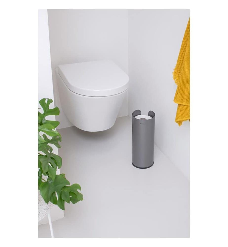 Distributeur de Papier Hygiénique ReNew - Argent