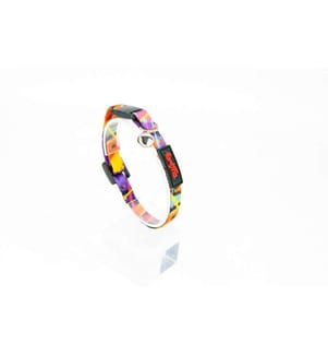 Katzenhalsband – Mehrfarbig