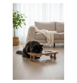Gamelle pour animaux - Multicolore