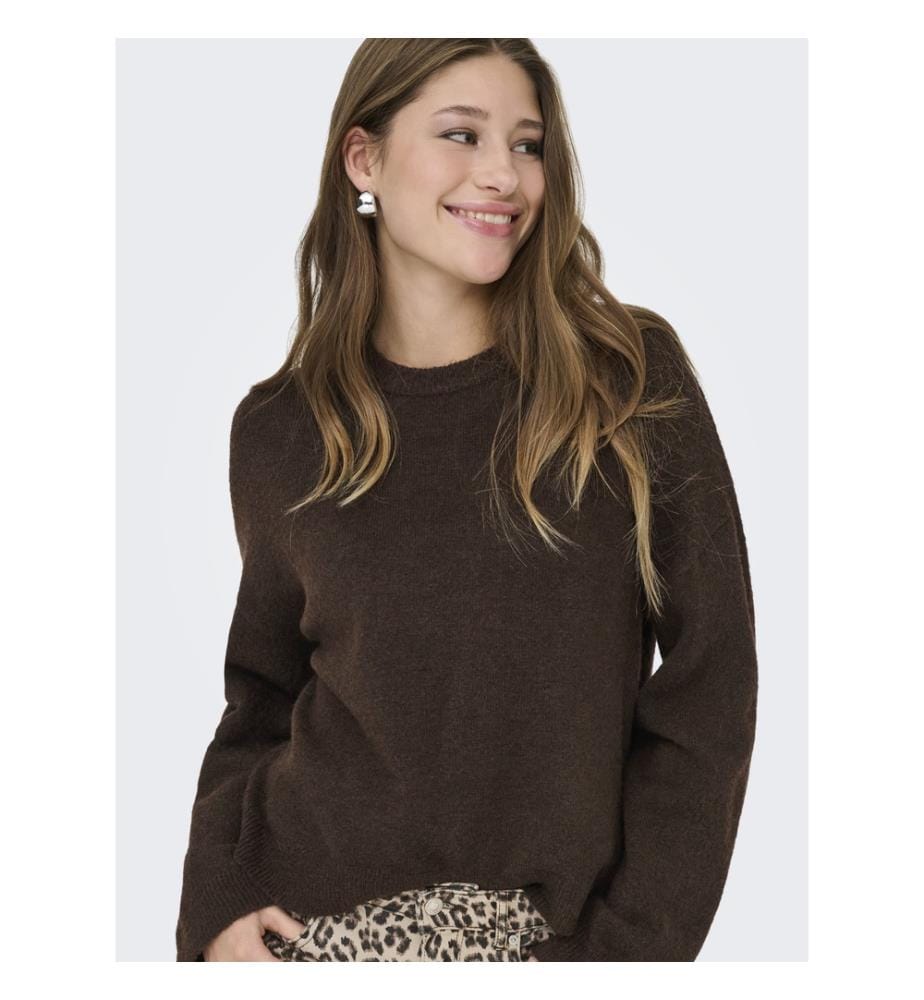 Strickpullover – Kaffee-Braun","detected_source_language":"FR