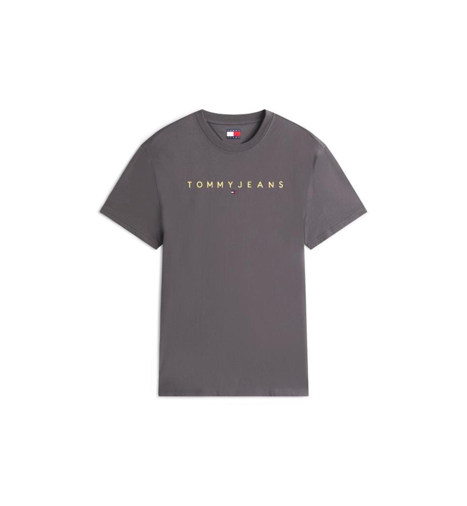 Linear Logo Regular Fit T-Shirt - Grau