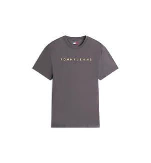 Linear Logo Regular Fit T-Shirt - Grau