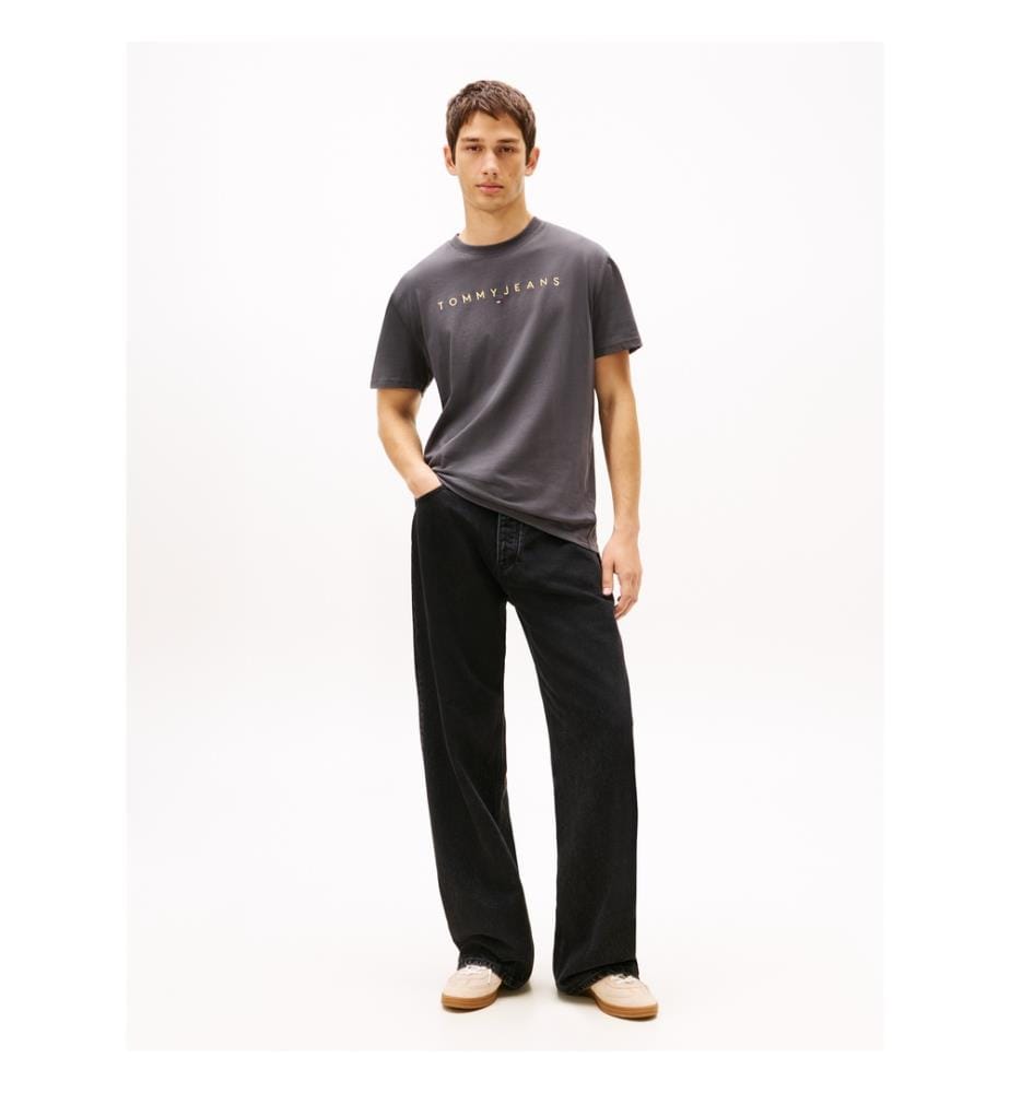 Linear Logo Regular Fit T-Shirt - Grau