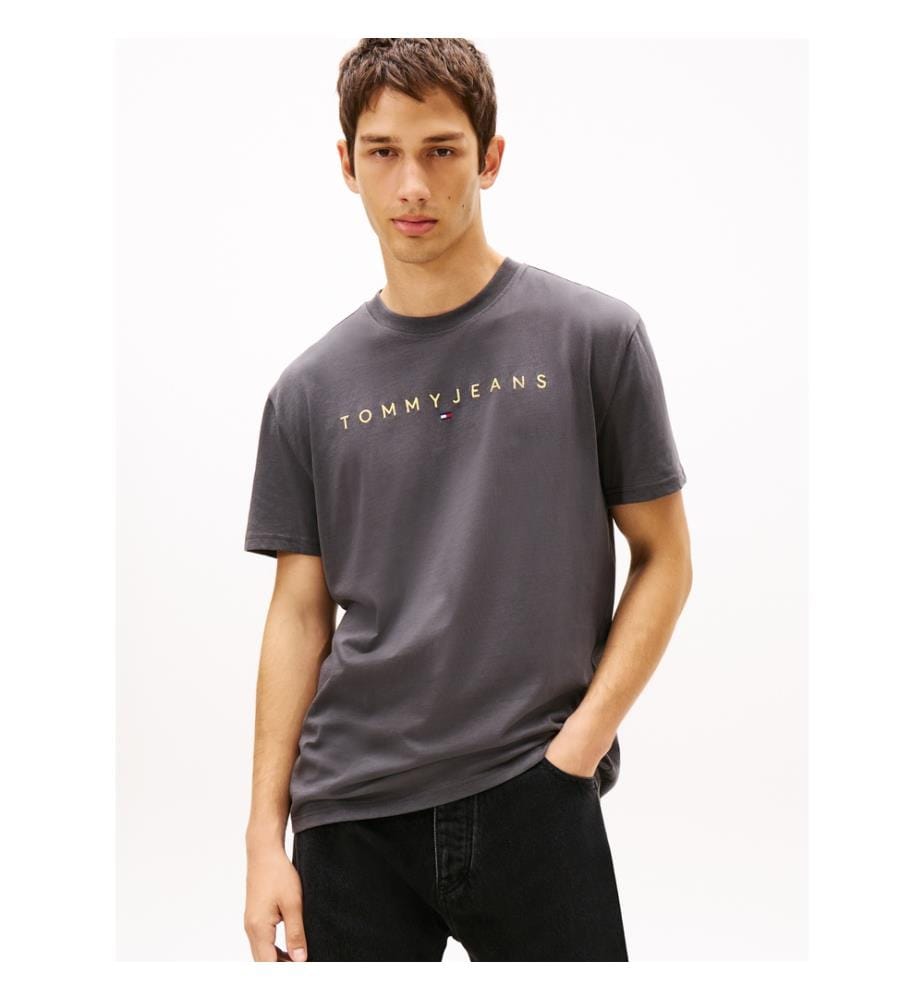 Linear Logo Regular Fit T-Shirt - Grau