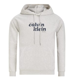 Hoodie - Gris