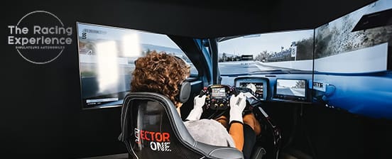 Formula 1 drive in a racing simulator