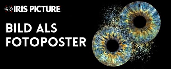 De magnifiques photos de vos yeux sur poster photo