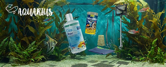 Aquariums & Terrariums