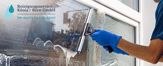Professionelle Fensterreinigung