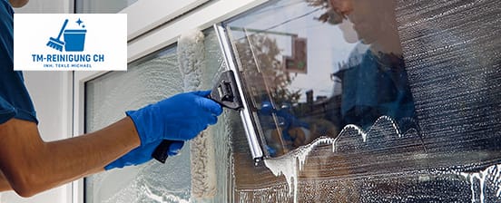 Professionelle Fensterreinigung