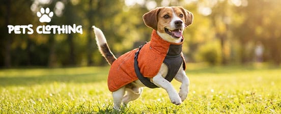 Hundebekleidung