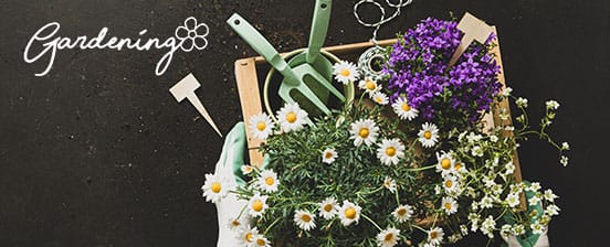 Gardening