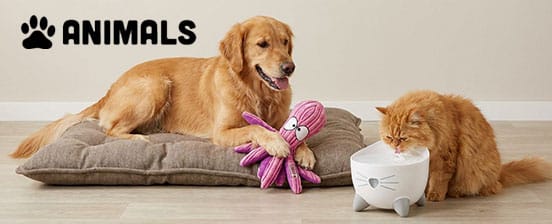 Accessori per animali e alimenti