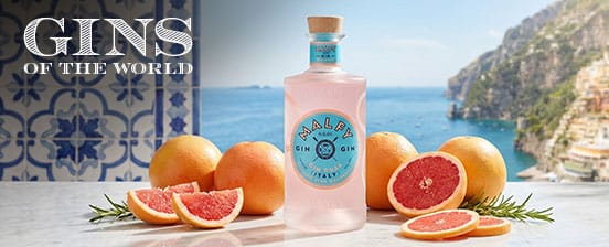 Gins of the World