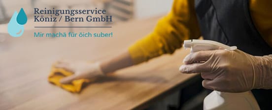 Professionelle Haushaltsreinigung