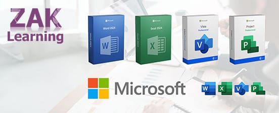 Microsoft Word, Excel, Project oder Visio Professional 2024