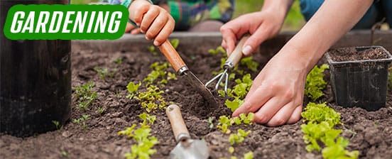 Outils et Équipement de Jardinage